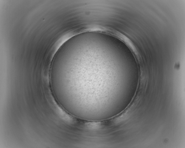 X0000092040810200709191059