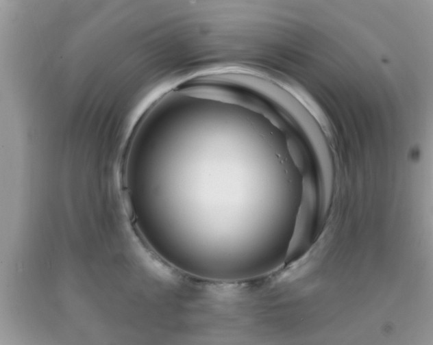 X0000092040813200709191059