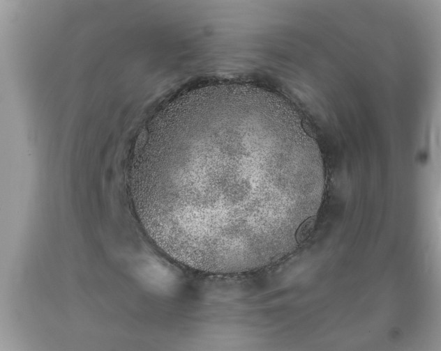 X0000092040817200709191058