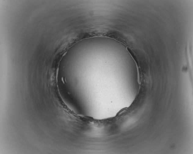 X0000092040818200709191058