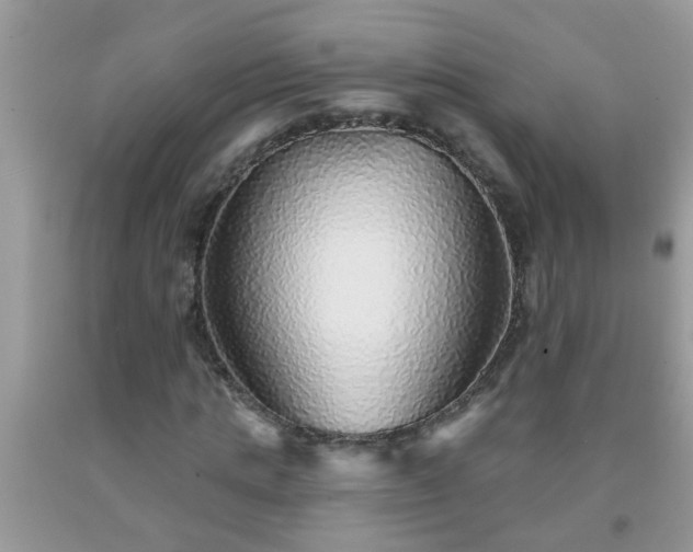 X0000092040821200709191058