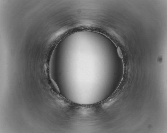 X0000092040822200709191058