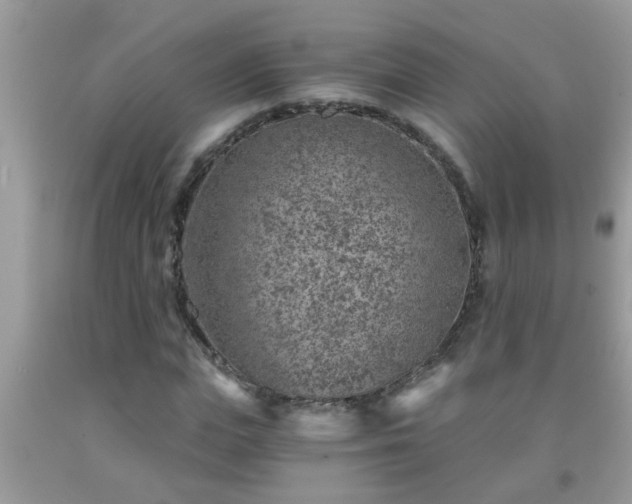 X0000092040823200709191058