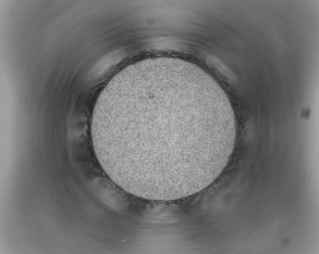 X0000092040824200709191058