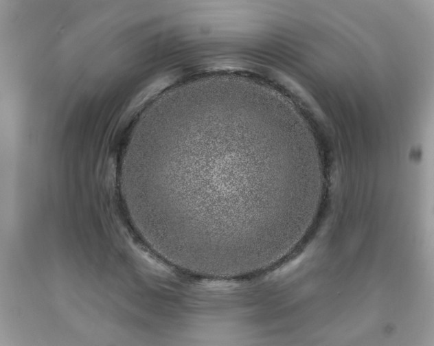 X0000092040825200709191058