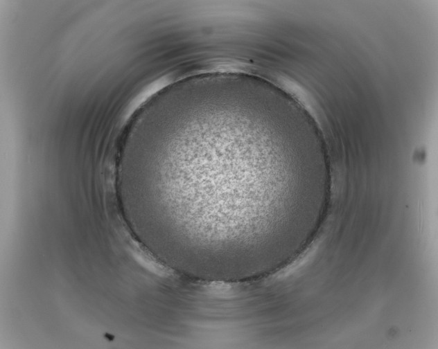 X0000092040827200709191058