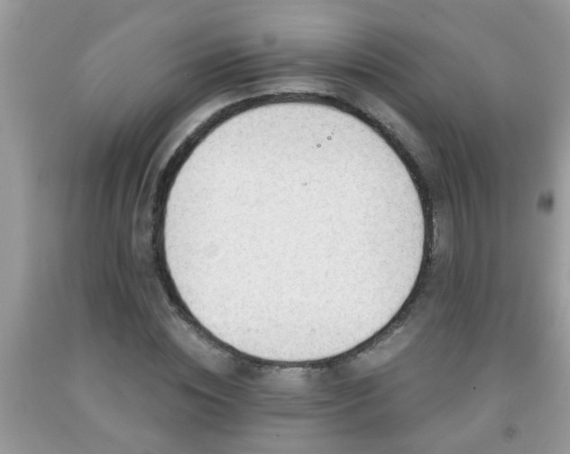 X0000092040828200709191058