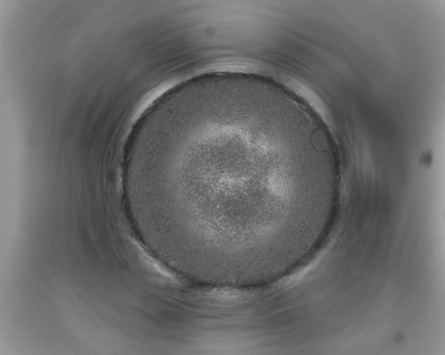 X0000092040829200709191058