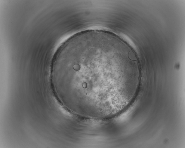 X0000092040831200709191058