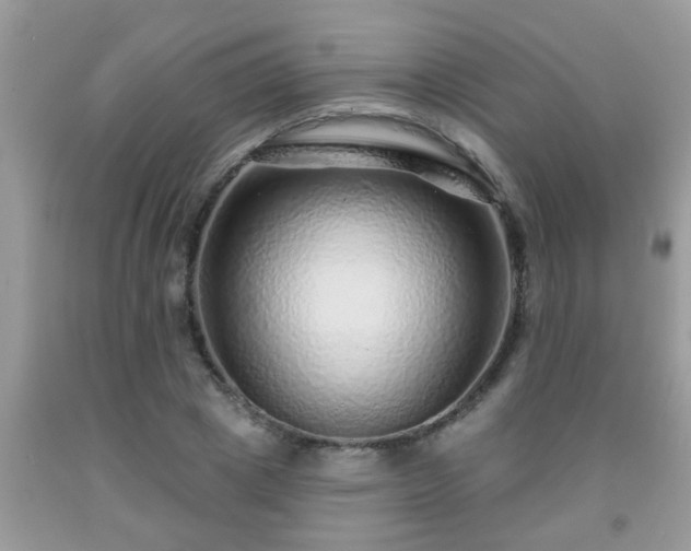 X0000092040833200709191058