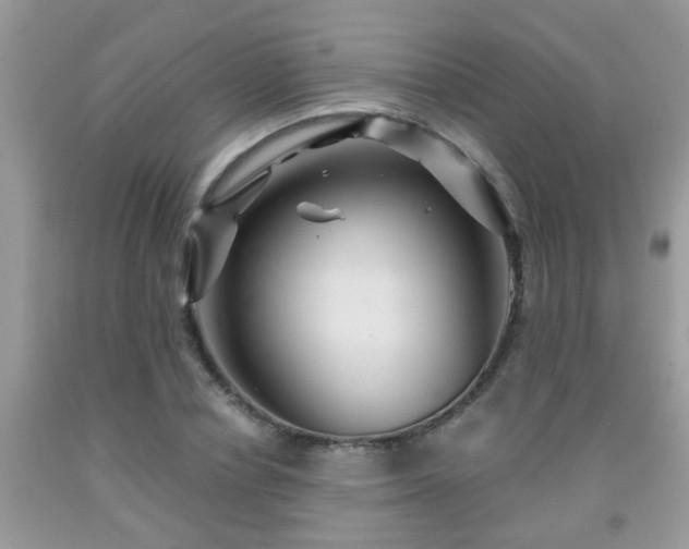 X0000092040834200709191058