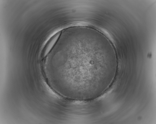 X0000092040835200709191058