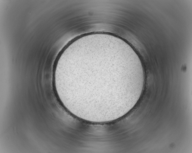 X0000092040836200709191058