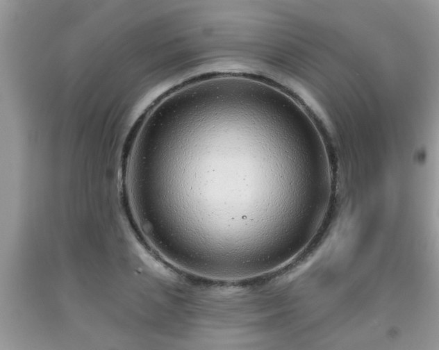 X0000092040837200709191058