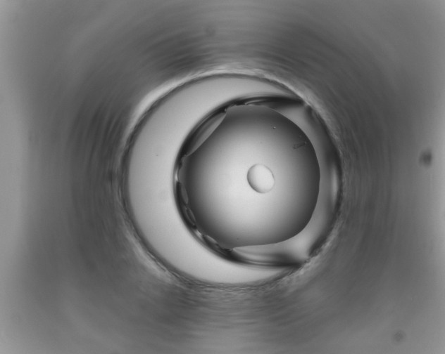 X0000092040838200709191058