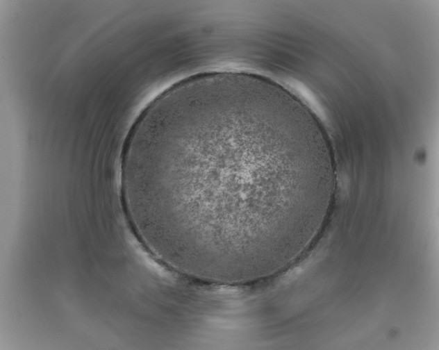 X0000092040839200709191058