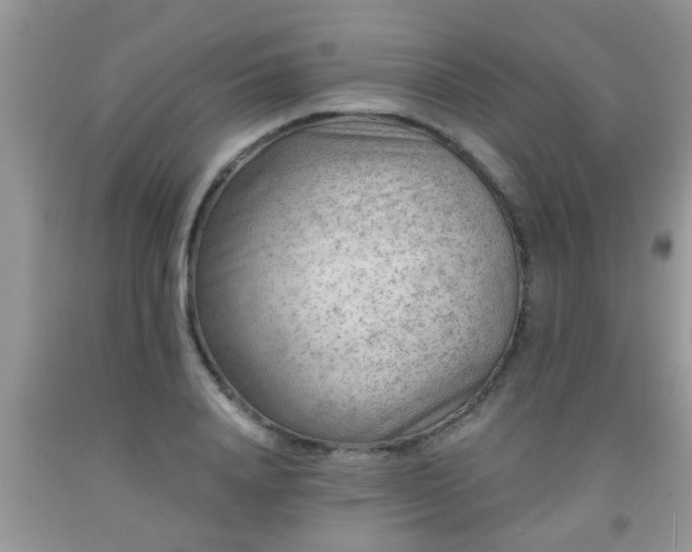 X0000092040840200709191058