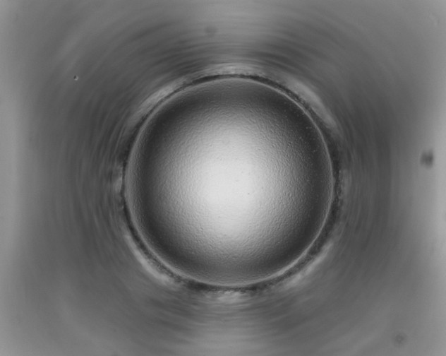 X0000092040841200709191058