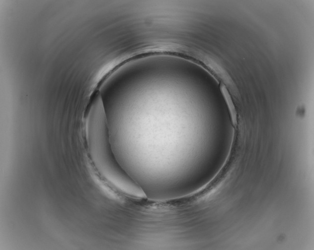 X0000092040842200709191058