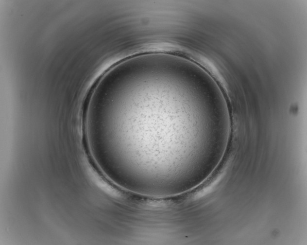 X0000092040843200709191058