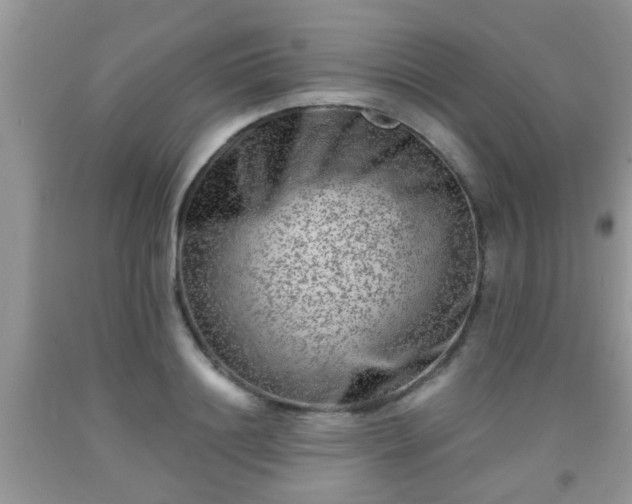 X0000092040844200709191058