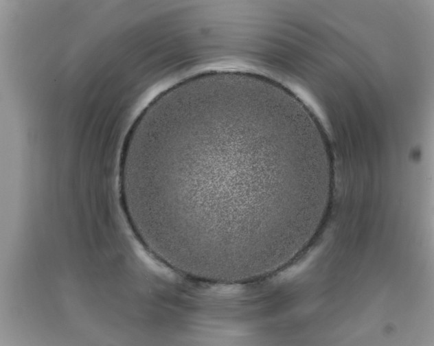 X0000092040845200709191059