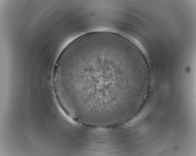 X0000092040847200709191059