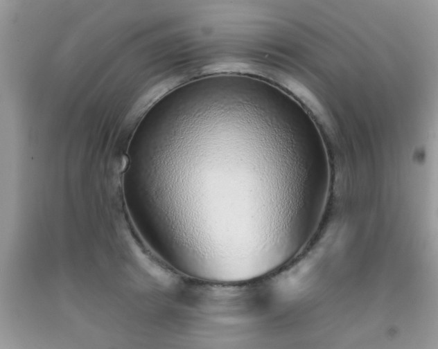 X0000092040849200709191059