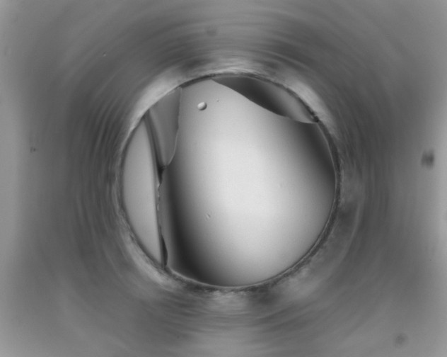 X0000092040850200709191059