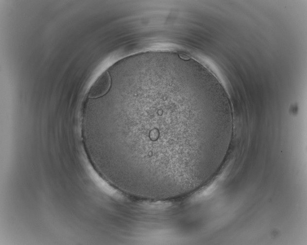 X0000092040851200709191059