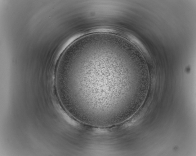 X0000092040852200709191059