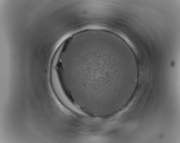 X0000092040853200709191059