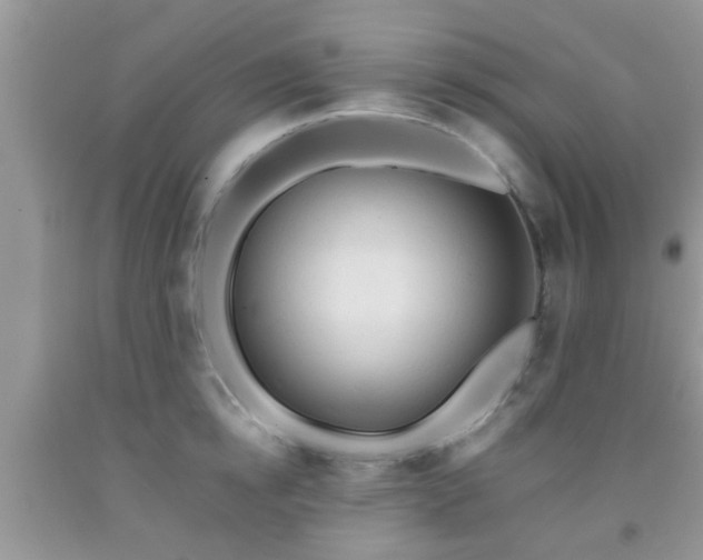 X0000092040854200709191059