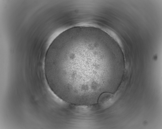 X0000092040855200709191059