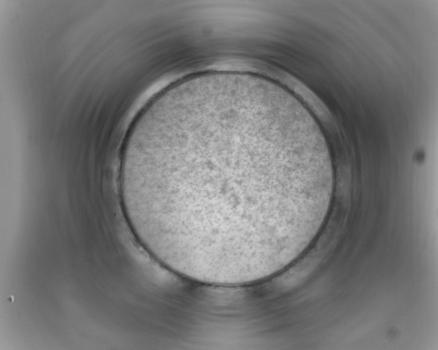 X0000092040856200709191059