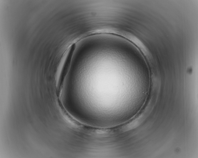 X0000092040857200709191059