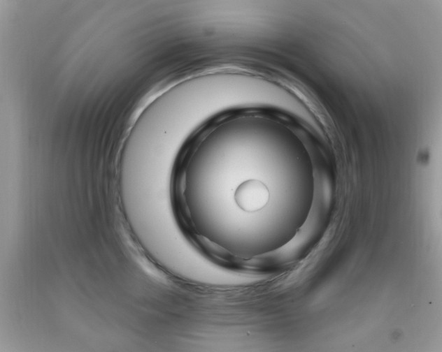 X0000092040858200709191059