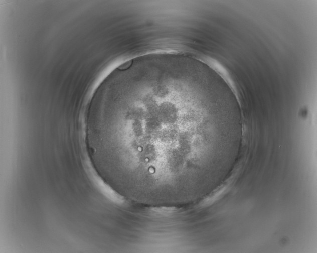 X0000092040859200709191059