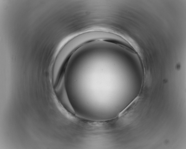 X0000092040862200709191059