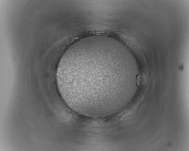 X0000092040865200709191058