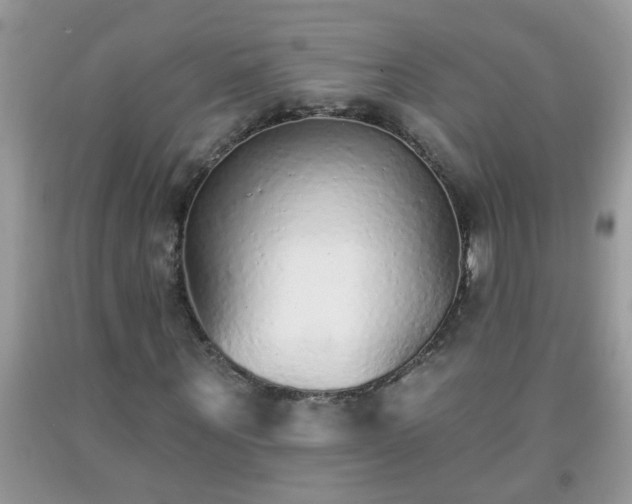 X0000092040867200709191058