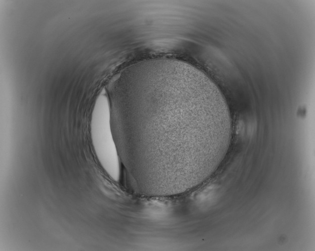 X0000092040868200709191058