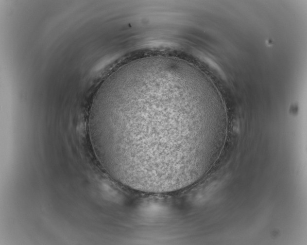 X0000092040869200709191058