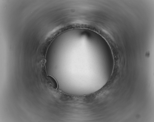 X0000092040870200709191058