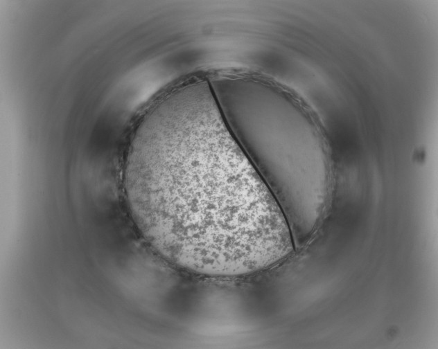 X0000092040871200709191058