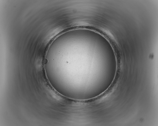 X0000092040873200709191058