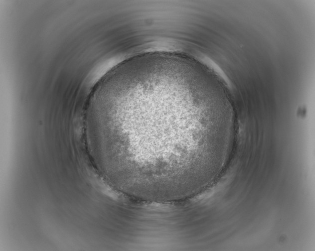 X0000092040874200709191058