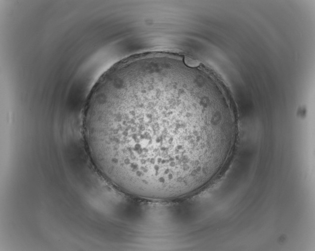 X0000092040875200709191058