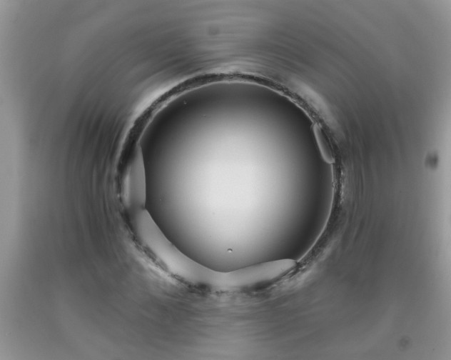 X0000092040876200709191058