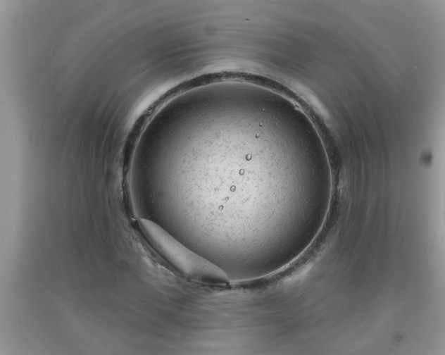 X0000092040877200709191058